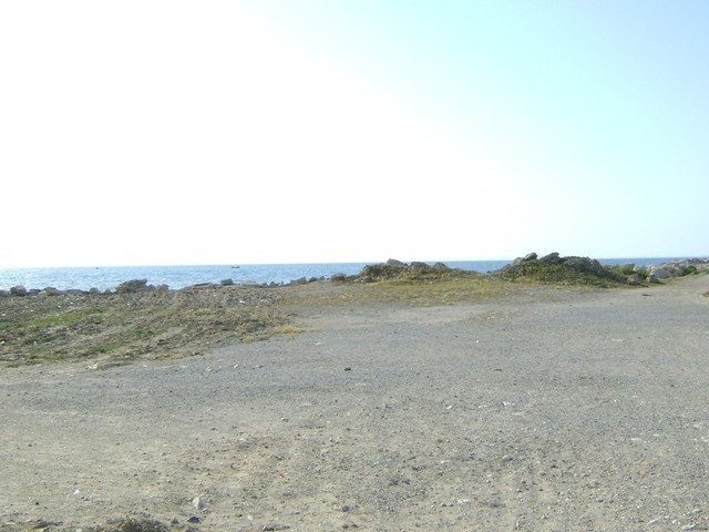 the sea garden