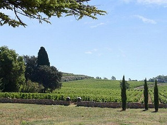 10 Bedrooms - Vineyard -.. - 2