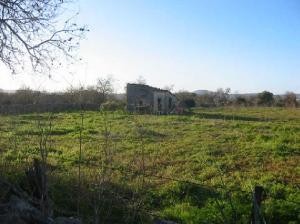 Finca plot with small store house and..