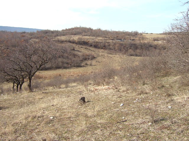 Land in Tsarkva, Albena - 2