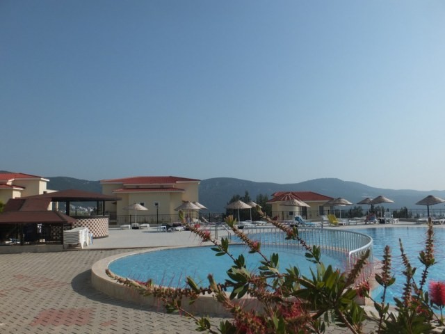 Paradise Complex - 2