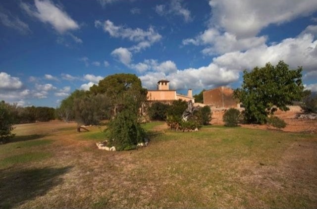 Unique Finca Located In The Outskirts..