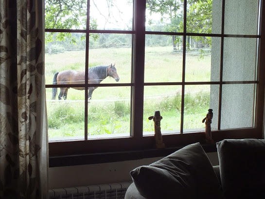3 Bed Farm For Sale 3 2,476 Sq. Ft* - 2