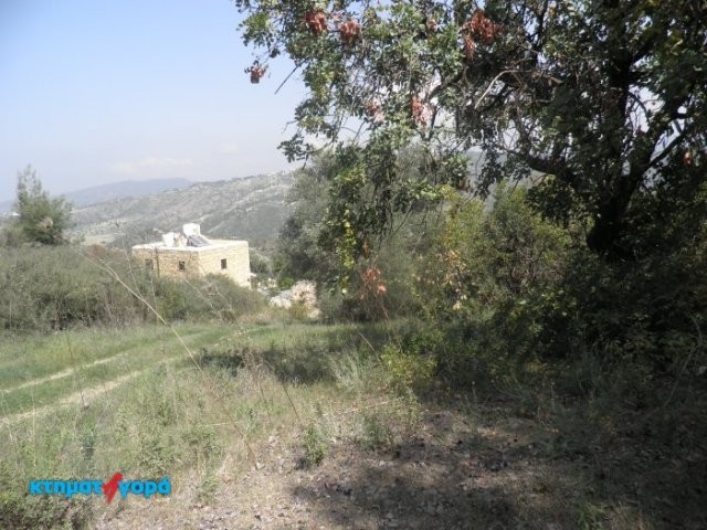 Residential Land in Lysos, Pafos - 2