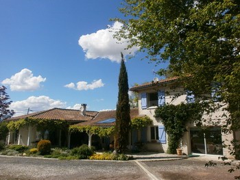 Beautiful Property With Guest House And.. - 2