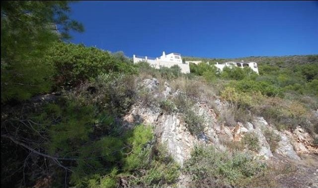 Plot For Sale Pego - Ref: 2379 - 2