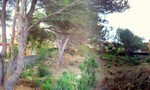 - Land - For Sale - 2