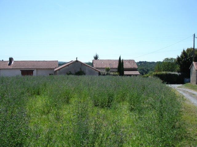 25203 - Vente - Terrain - Vergt - 2
