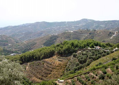 Plot for Sale in Frigiliana 445.000.. - 2