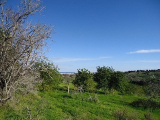 For Sale: Plot In West Algarve..