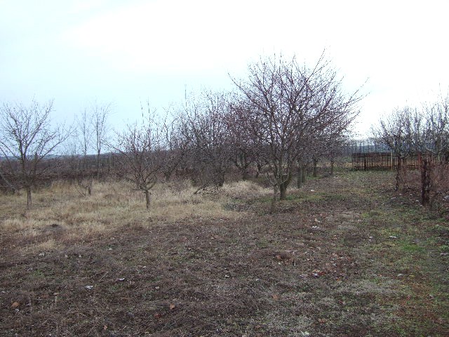 Land in Vedrina, Dobrich - 2