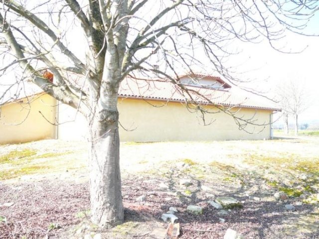 Beautiful House on 6 Hectares - 2