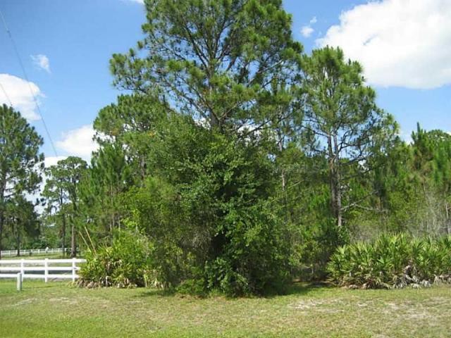 Land For Sale: 7431 201st E St.. - 2