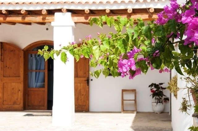 Two Hundread Year Old Finca With Project