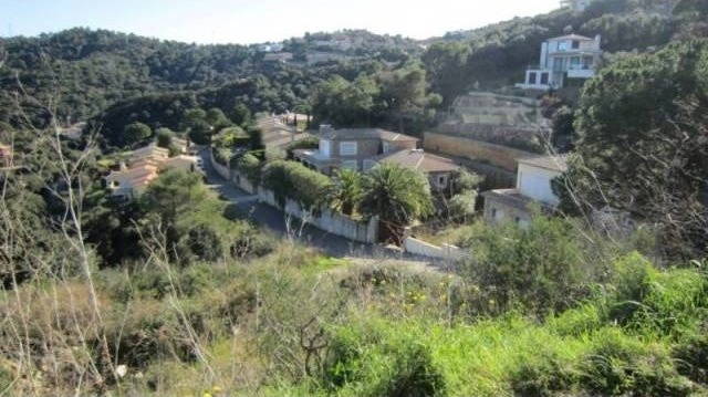 PLOTS IN ES VALLS - 2