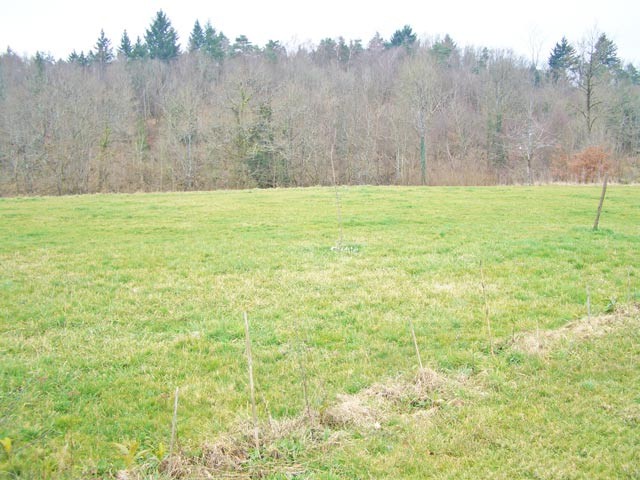 Building Land Of About 2520m2 In The.. - 2