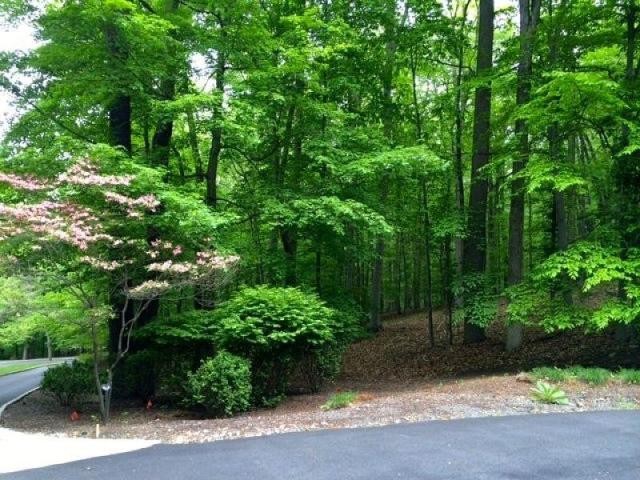 Land For Sale: 26 Arborview Way - 2