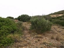 Elounda Property - 2