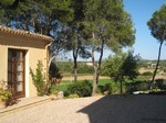 4 Bedrooms - Finca - For Sale - 2