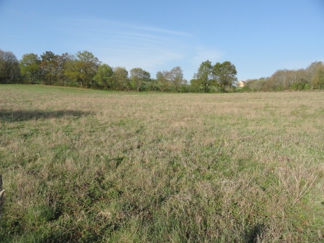25137 - Vente - Terrain - Vergt - 2