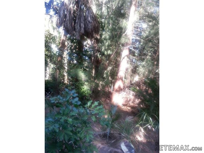 Land For Sale: 7401b Midnight Pass Rd.. - 2