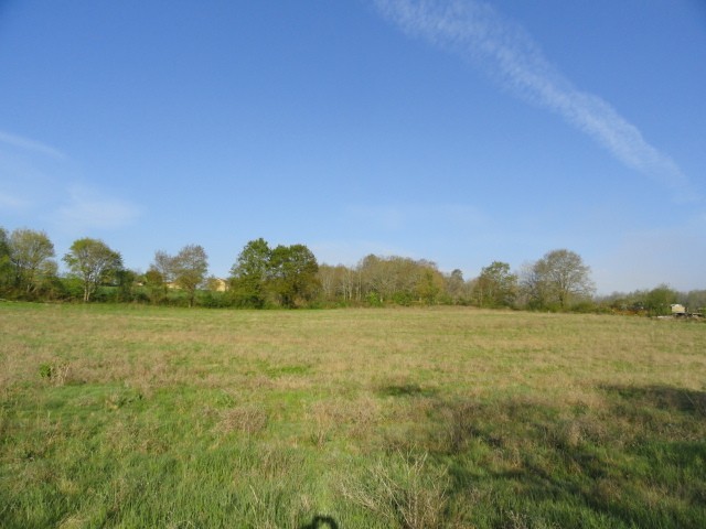 25137 - Vente - Terrain - Vergt