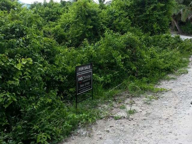 Singlefamilyvacant - This large Abaco..