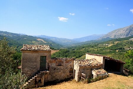 2 houses, outbuilding, small olive..