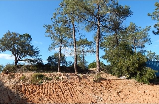 Quinta do Lago Plot