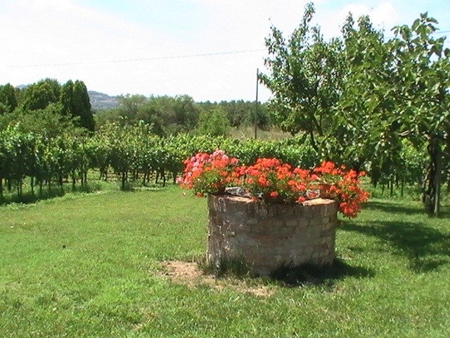 Rustic / Farmhouse / Court for sale in.. - 2