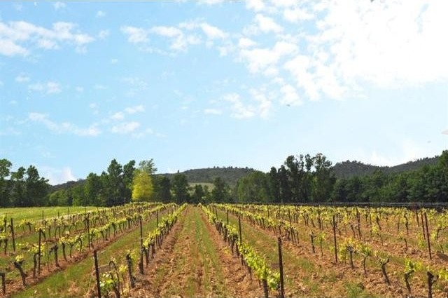 5 bedroom Land For Sale: Provence.. - 2