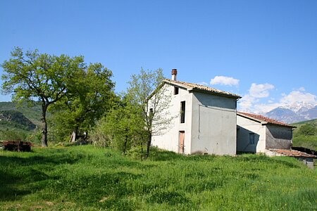 2 detached houses, olive grove and barn..