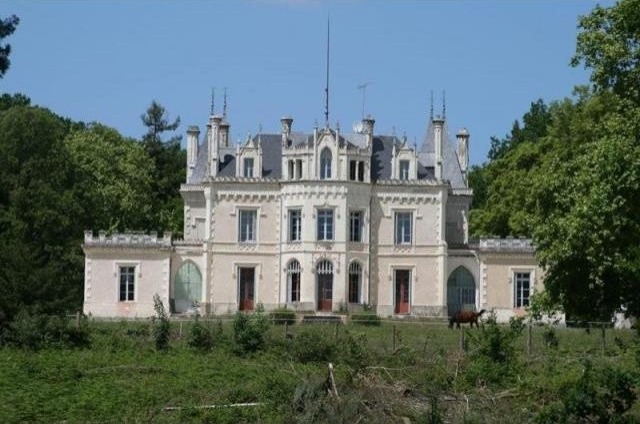 8 bedroom Castle For Sale: 86270 VIENNE - 2