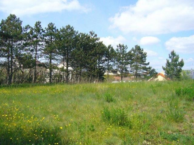 Maison / Villa Pirou - 2