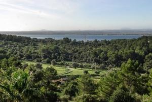 Alcúdia, Mallorca, zona Bonaire, urban..