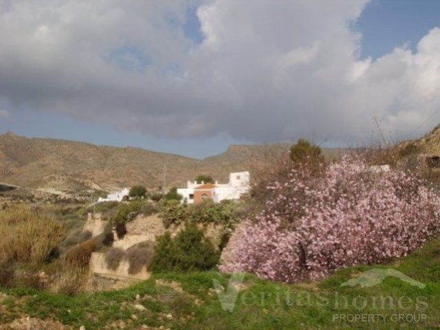 Ref: 1458 - Cortijo/Finca for Sale in..