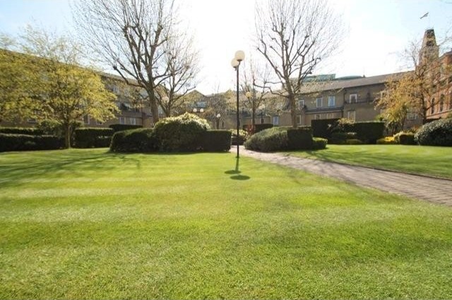 1 bed flat to rent