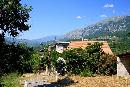 2 houses, outbuilding, small olive.. - 2