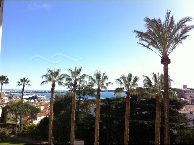 4 Bedrooms - Apartment - For Sale