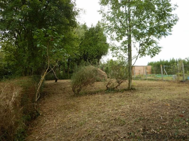 Lovely Rural House and Garden - 2