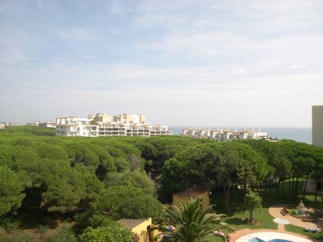 Apartment - Fantastic beachside studio..