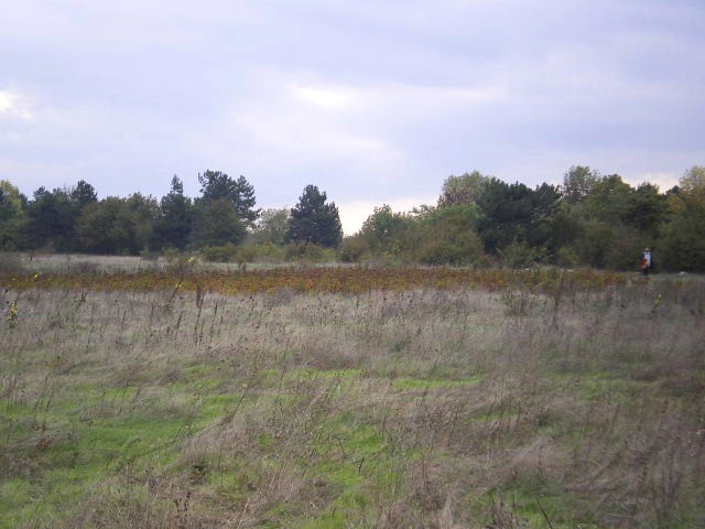 Land in Balchik