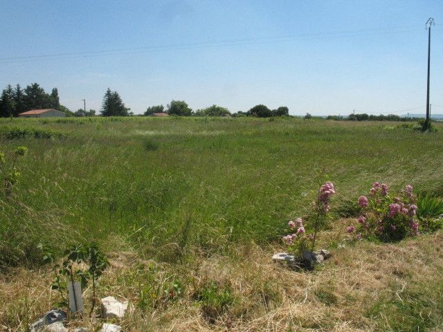 Land - St Fort Sur Gironde - 2
