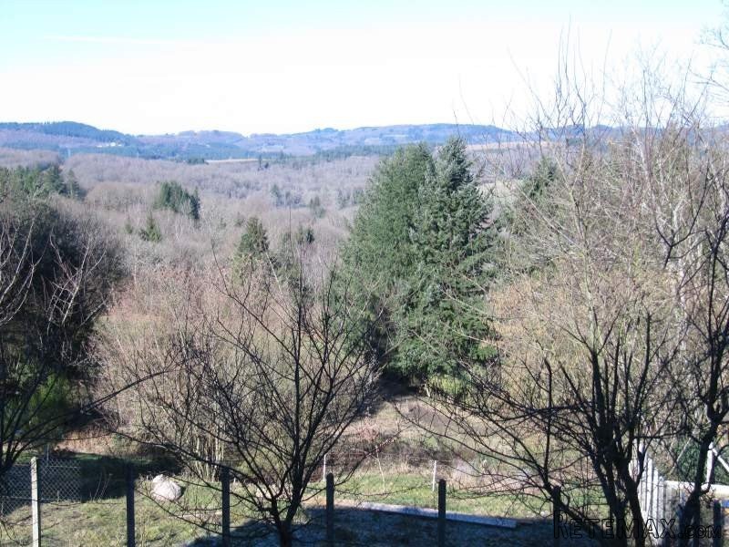 Rural House on 1.6 Hectares - 2