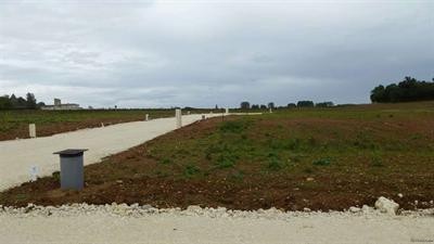Site
