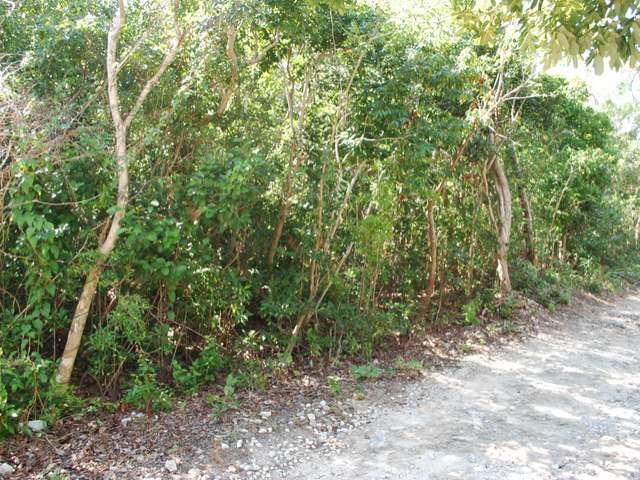 Singlefamilyvacant - Lot 97 is a.. - 2