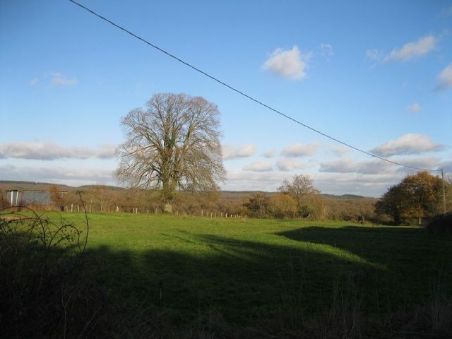 Nice Property in Rural Setting - 2