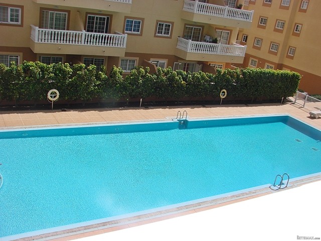 Apartment in Palm Mar - 2