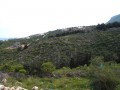 Overlooking The Sea - 2