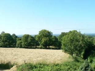 Stunning Panoramic Countryside View - 2